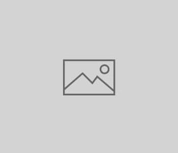 Sample Post 2